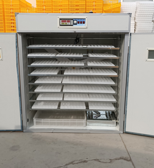 Incubatrice per Uova di Gallin - Poultry Incubator recensione e prezzo