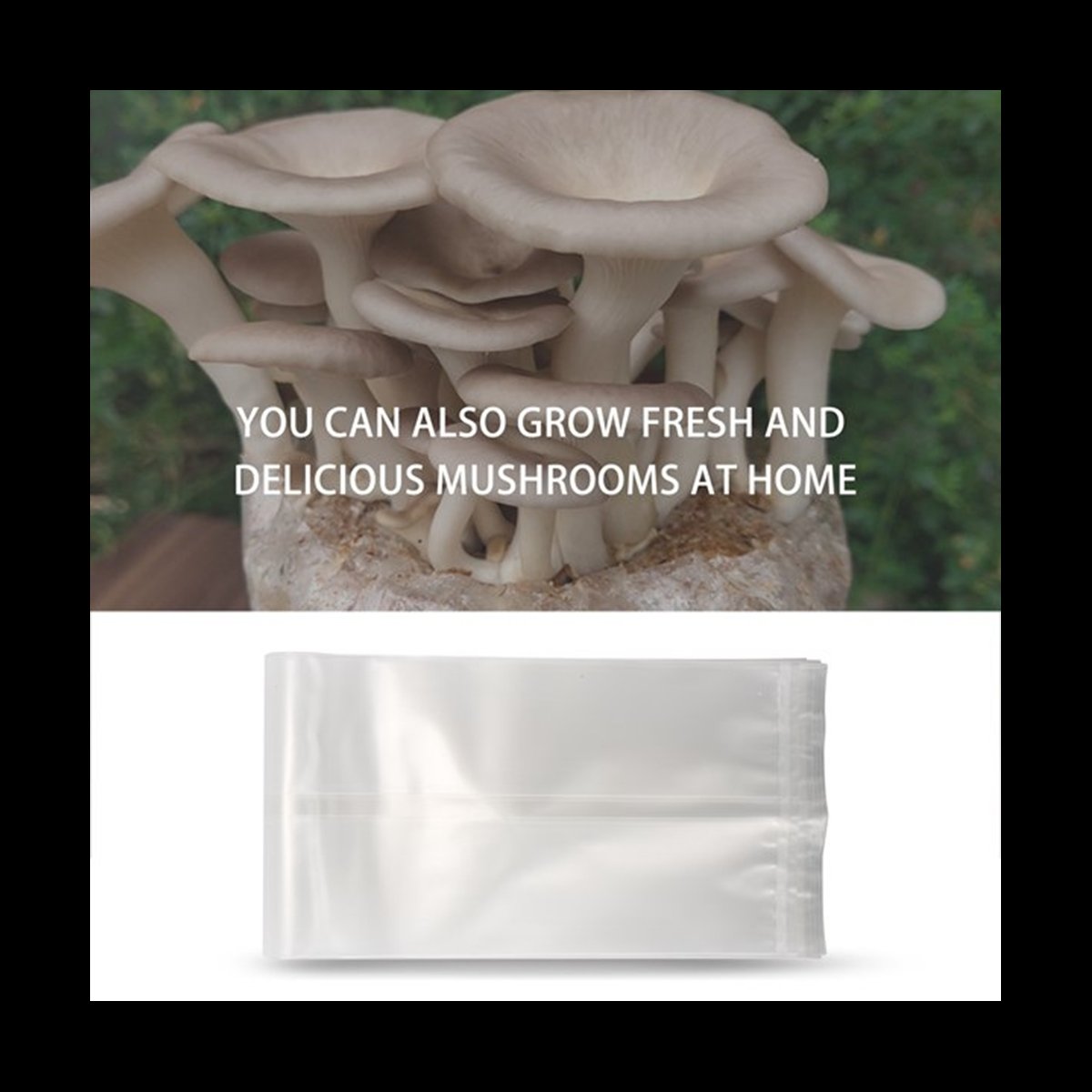 A78I Sacchetti per funghi da 5 - Mushroom Spawn Bag recensione e prezzo